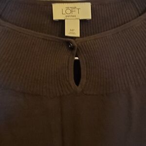 Ann Taylor Brown Crew Neck Sweater